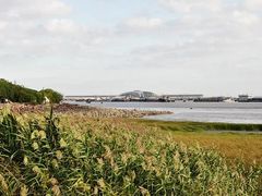 -吴淞炮台湾湿地森林公园烧烤区