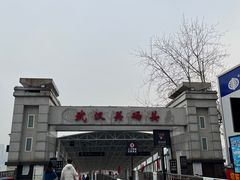 -武汉关码头(轮渡站)