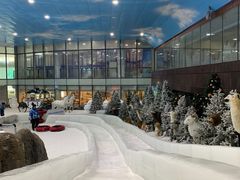 -世界之窗阿尔卑斯冰雪世界