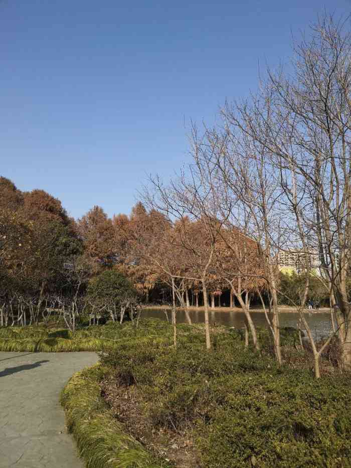 周浦公园-"严重雾霾天,饭后过来公园透透气,原本以为.