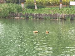 -河北省园博园