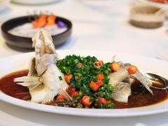 椒麻蒸桂花鱼-玫瑰厅上海菜(兴国路店)
