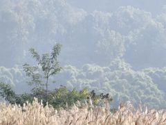 -樱桃山旅游景区