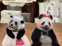 -小龙坎火锅(全球旗舰店)