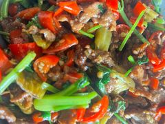 鲜切小炒黄牛肉-雀蓝川菜(奥体广场店)