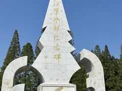 -水杉园