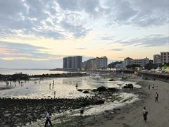 -沙扒湾