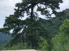 -秦岭终南山世界地质公园翠华山景区