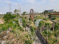 -王借岗森林公园