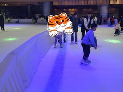 -TheRink大零溜冰场(IFS国金中心店)
