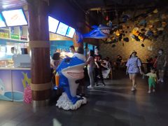 -成都浩海立方海洋公园