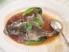 大珍珠龙趸-顺峰(农展馆店)