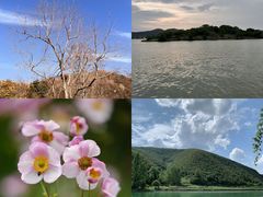 -长广溪湿地公园
