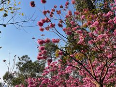 -仙岳公园