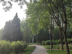 -北极寺公园