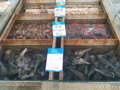 -小北江河鲜(新城店)