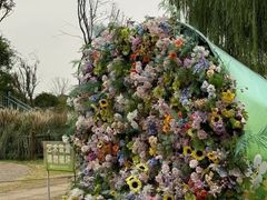 -祥源·阜阳生态乐园