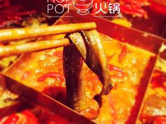 -宽巷子成都火锅(南站店)