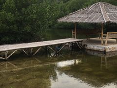 -苏米龙岛