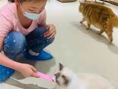 -藏猫猫咖啡主题馆(中央大道店)
