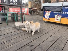 -狼牙山风景区