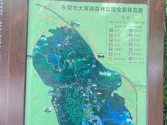 -大屏嶂森林公园