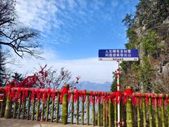 -塔云山