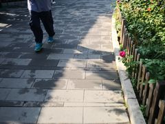 -丰台花园