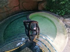 -海口观澜湖火山温泉谷