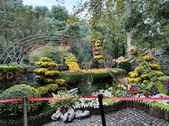 -杭州植物园