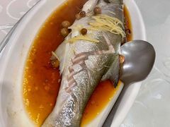 破布子午鱼-光头匠