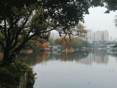 -荔湾湖公园