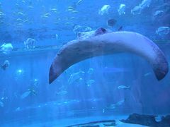 -华夏文旅西安度假区