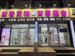 -青奢宠物·青奢猫舍