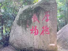 -阳台山森林公园