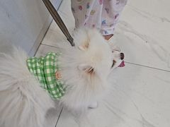 -艾吉宠物医院·疑难杂症转诊中心·猫友好(碧江路院)