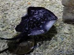 -多彩贵州城极地海洋世界