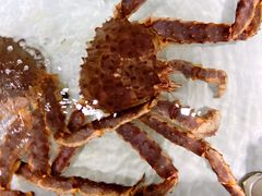 -悦港(悦港酒店)