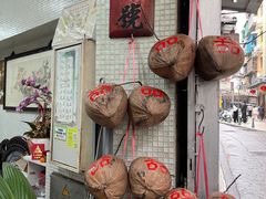 -洪馨椰子