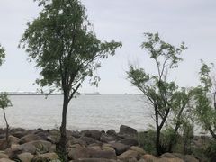 -上海吴淞炮台湾国家湿地公园
