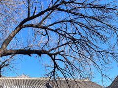 -张学良旧居陈列馆