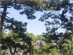 -香山公园