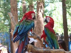 -北京野生动物园