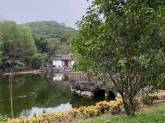 -深圳国际园林花卉博览园