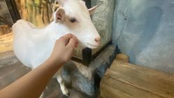 -Zoolung Zoolung动物主题公园(海信广场店)