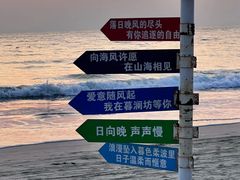 -广东惠东海龟国家级自然保护区