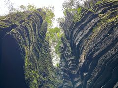 -梭布垭石林景区