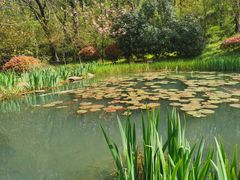 -南京市江宁方山