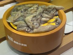 -龍歌自助小火锅(崂山丽达店)