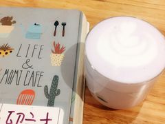 -猫的天空之城概念书店(印象城购物中心店)